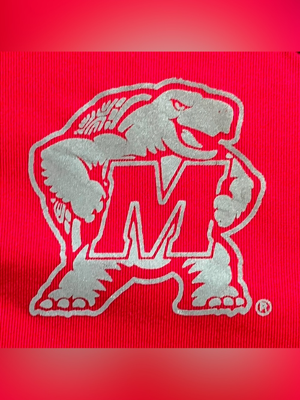 Champion Women's NCAA Maryland Terrapins Terps Performance Full Zip Jacket M - Picture 11 of 12